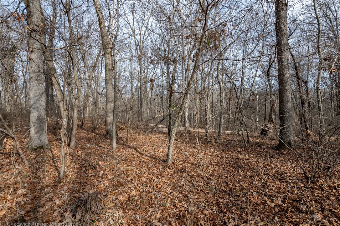 East Ridge Sub Bentonville - Land