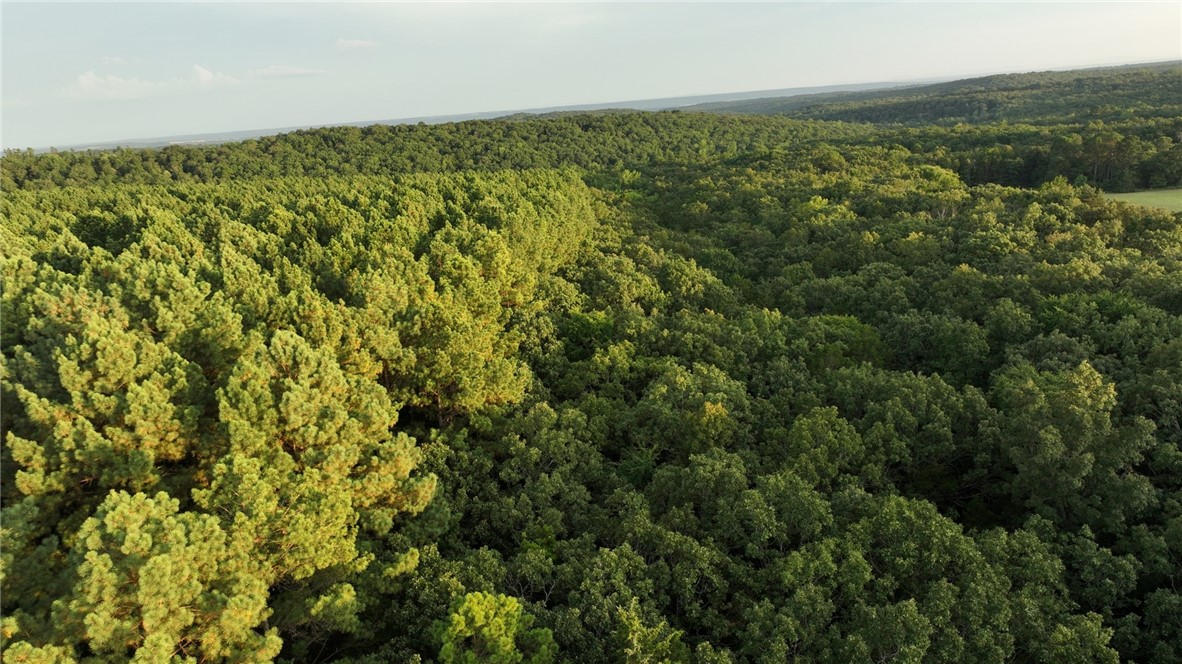 Located in the Boston Mountains of Crawford County, this 380-acre timber and recreational tract offers a rare combination of mature merchantable timber, diverse topography, and significant natural water features - all less than an hour from NWA.
A July 2025 timber cruise confirmed the presence of exceptionally mature planted pine and natural hardwood stands, providing immediate and long-term income potential for the investor or conservation-minded buyer.
The property offers outstanding recreational opportunities, with excellent whitetail and turkey habitat, a well-established internal road system, and abundant water throughout. Three stocked ponds, multiple spring-fed wells, and year-round creeks provide abundant water, including Rock Creek, which runs along the propertyās northern boundary. The remnants of a 150+ year-old homestead add historical significance,
The property includes a livable cabin along with a home that has served as a rental.
Sellers will retain 50% of the mineral rights.