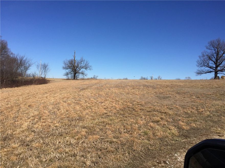 Greatest place in Prairie Grove to develop. Red dirt is already there. Would be very little undercut to develop roads. Sewer is across the road on Parks. City water and electric available. Agent owned