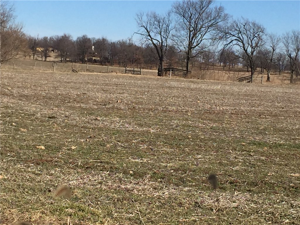 Prairie Grove Outlots - Land