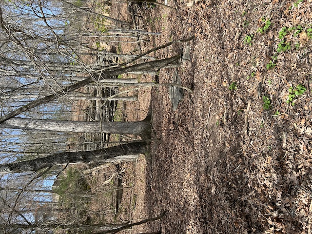 Lost Bridge Village - Land