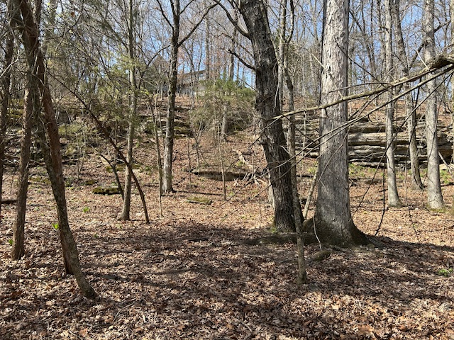 Lost Bridge Village - Land