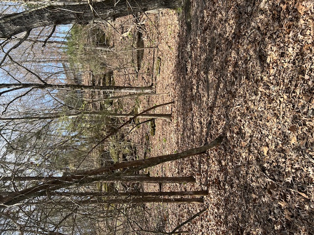 Lost Bridge Village - Land