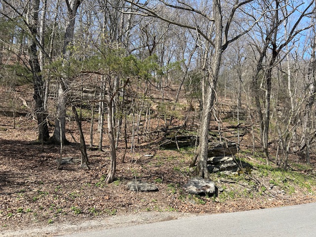 Lost Bridge Village - Land