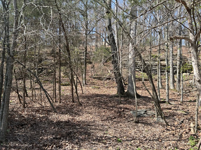 Lost Bridge Village - Land