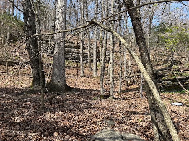 Lost Bridge Village - Land