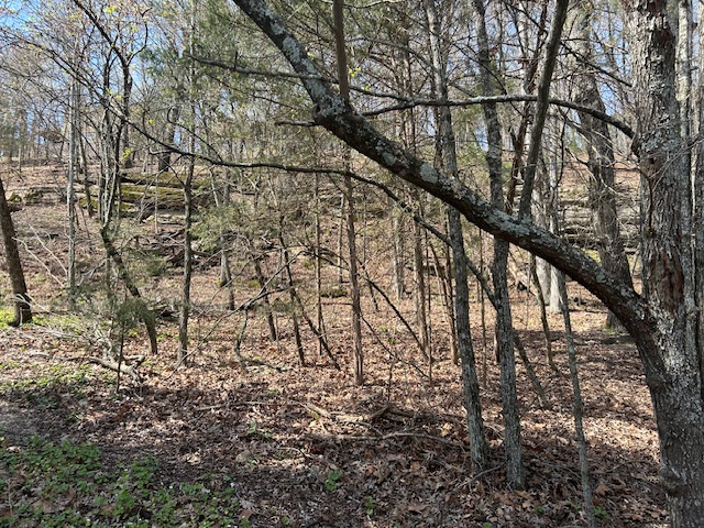 Lost Bridge Village - Land