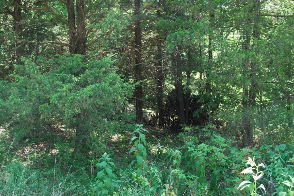 Scalloway Sub Bvv - Land