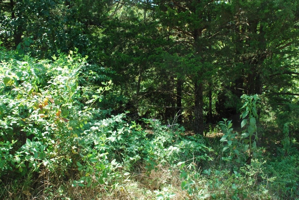 Scalloway Sub Bvv - Land