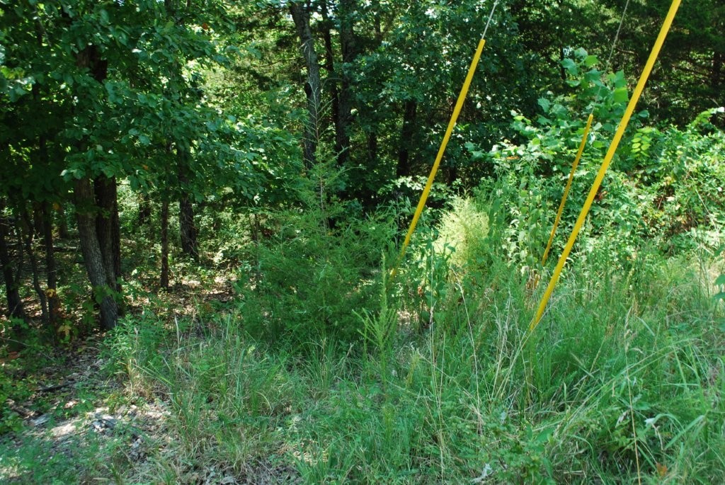 Hugh 0.34(+/-) acre lot 1/2 mile from Loch Lomond dam area, many nice homes in area.
