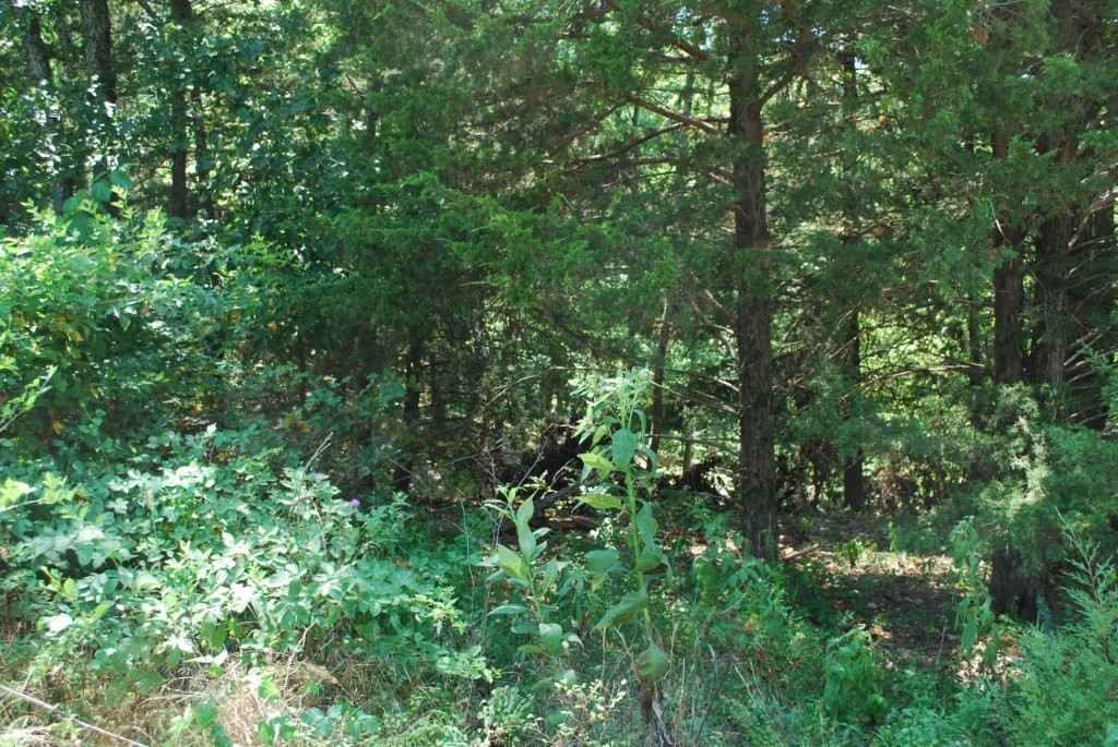 Scalloway Sub Bvv - Land