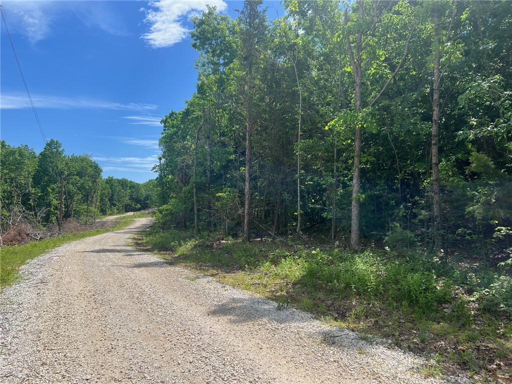 Private 21.7 surveyed acres with easy county road access rural water, electric available, and lots of great building spots. Only a few miles from the Buffalo river access, this property offers lots of wildlife, large rock formations, hardwood trees, and of course peace and quiet in beautiful Jasper AR in Newton county.
