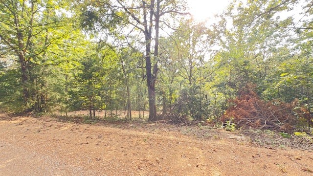 24-20-29-RURAL - Land