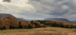 19.67 acres in Jasper, AR. (Newton County).Very scenic land with privacy, views and many outdoor activities.A great property to build a homestead or weekend get away.Easy access from county road with all utilities available.Two and a half miles off HW7 towards the end of Will Jones Road (no through traffic).Just minutes from Jasper, the Buffalo river and surrounding communities.