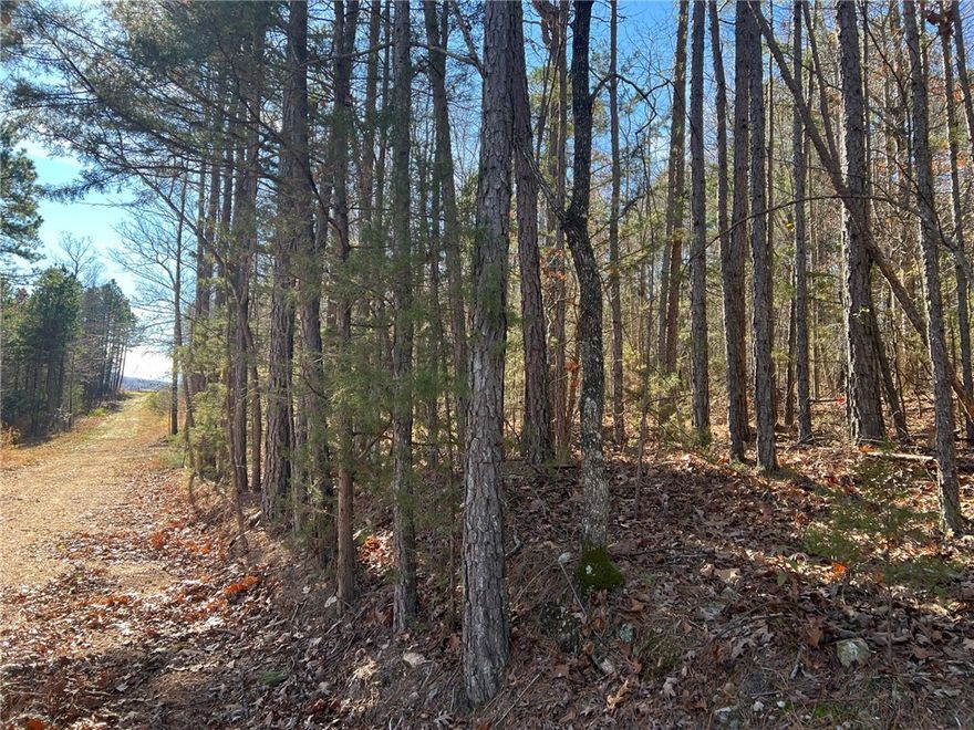 Great location! 7.57 wooded acres with easy access in Jasper AR, near the Buffalo National river, hiking trails, and lots of outdoor recreation. Power and water available. Additional acreage available. Seller will survey with contract.