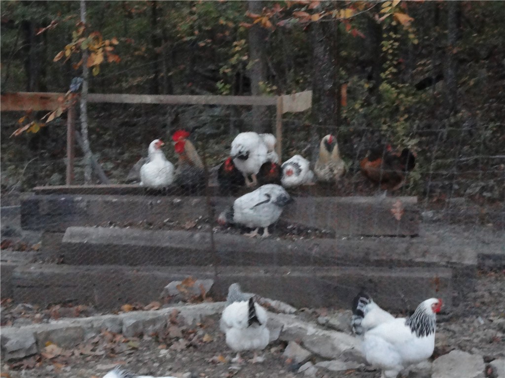 mete and bounds - Residential