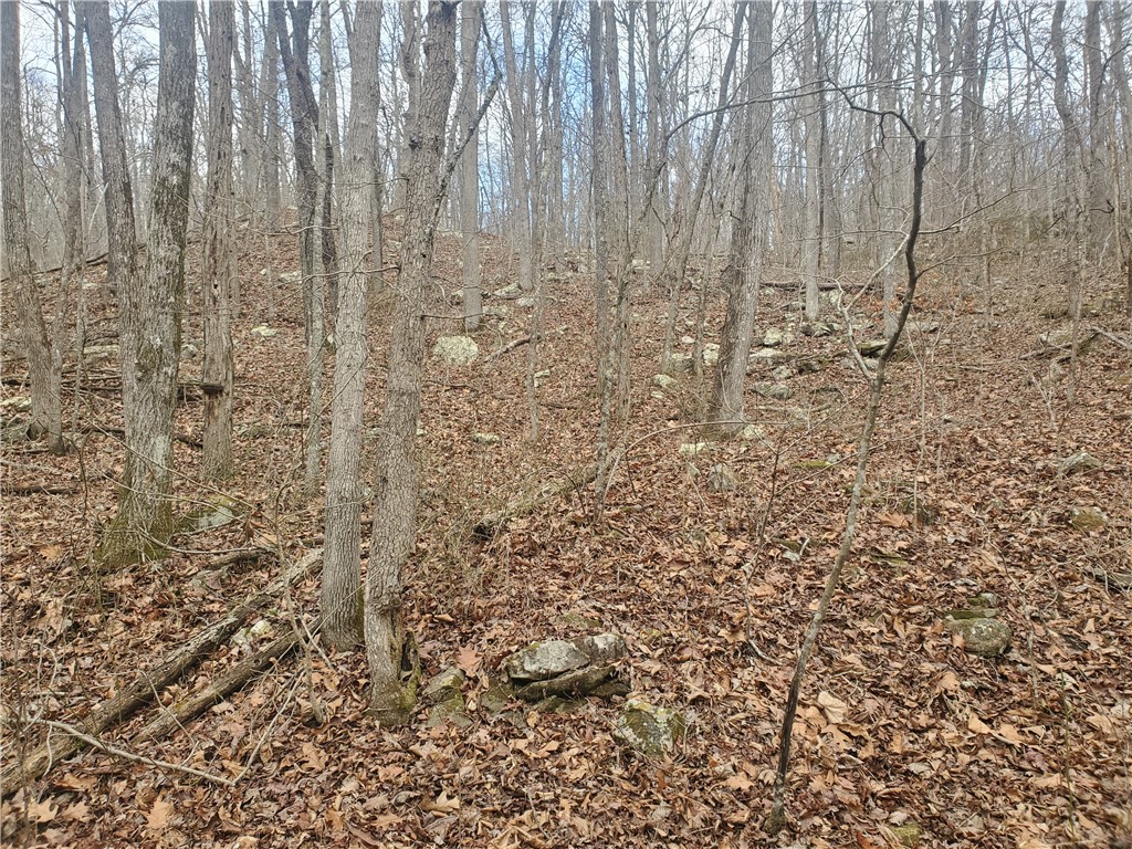 mete and bounds - Residential