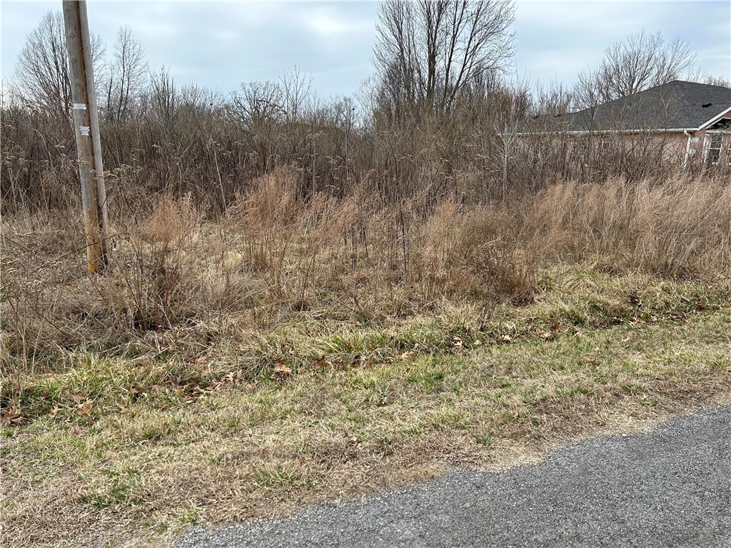 This is an interior lot in beautiful Kildonan Subdivision. Build your dream home! Highlands Golf Course surrounds this subdivision. Lake Loch Lomond is nearby. Easy access to 1-49.