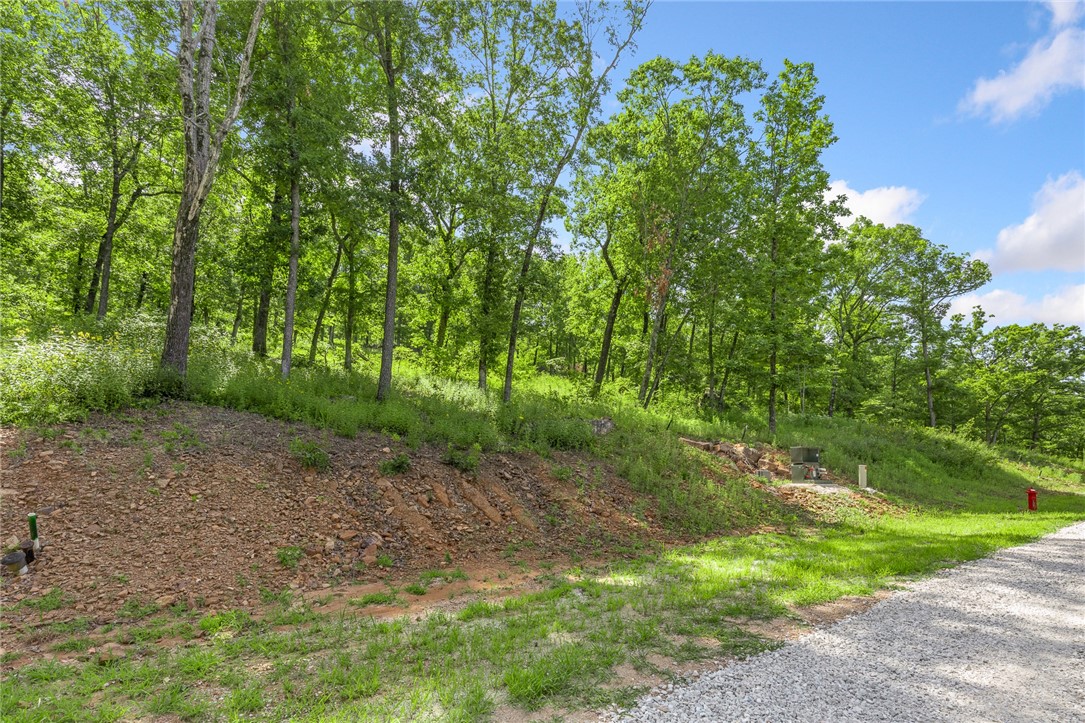 Round Mountain Estates - Land