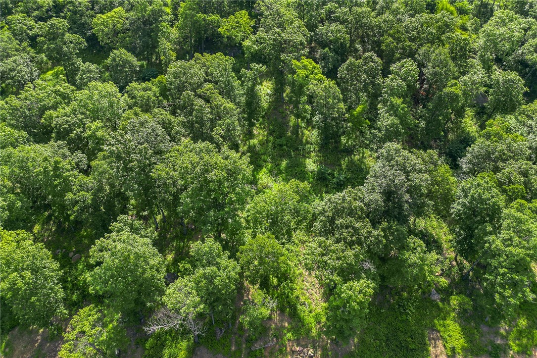 Round Mountain Estates - Land