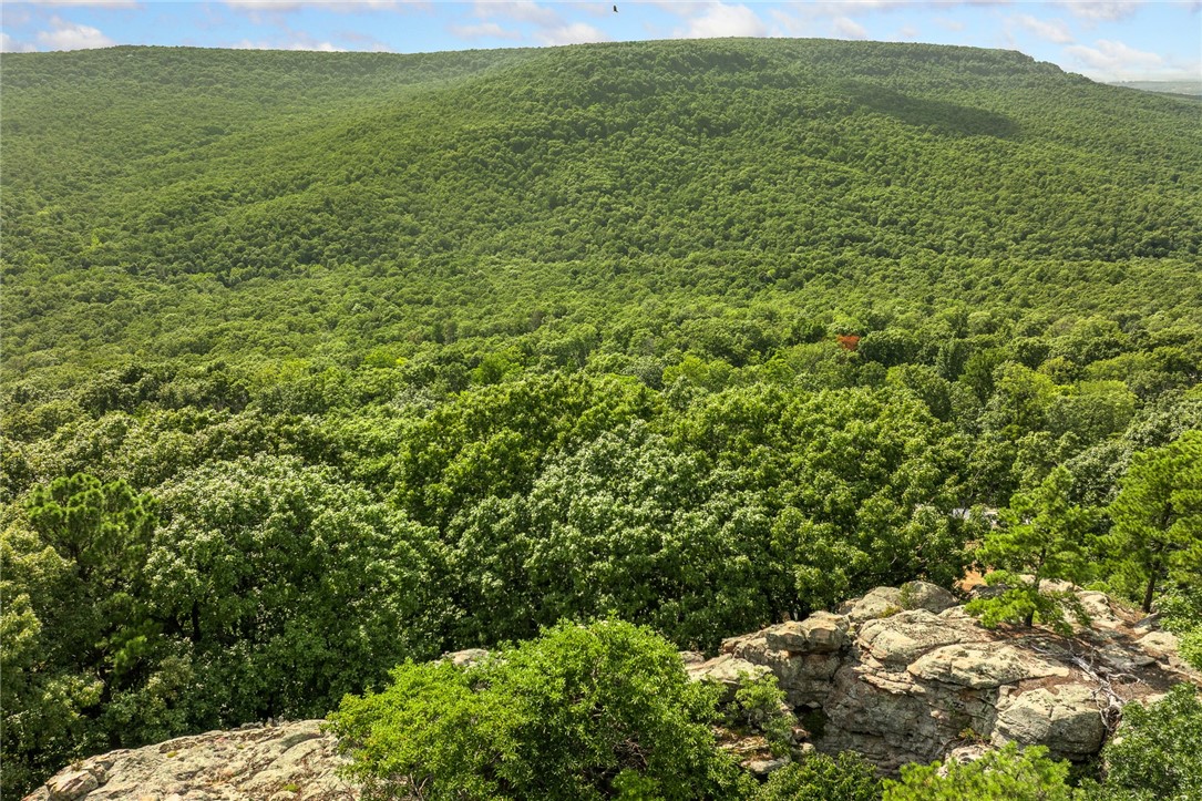 Round Mountain Estates - Land