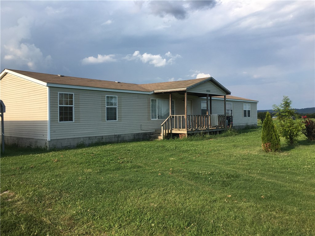 Chickens on the Line - Farm