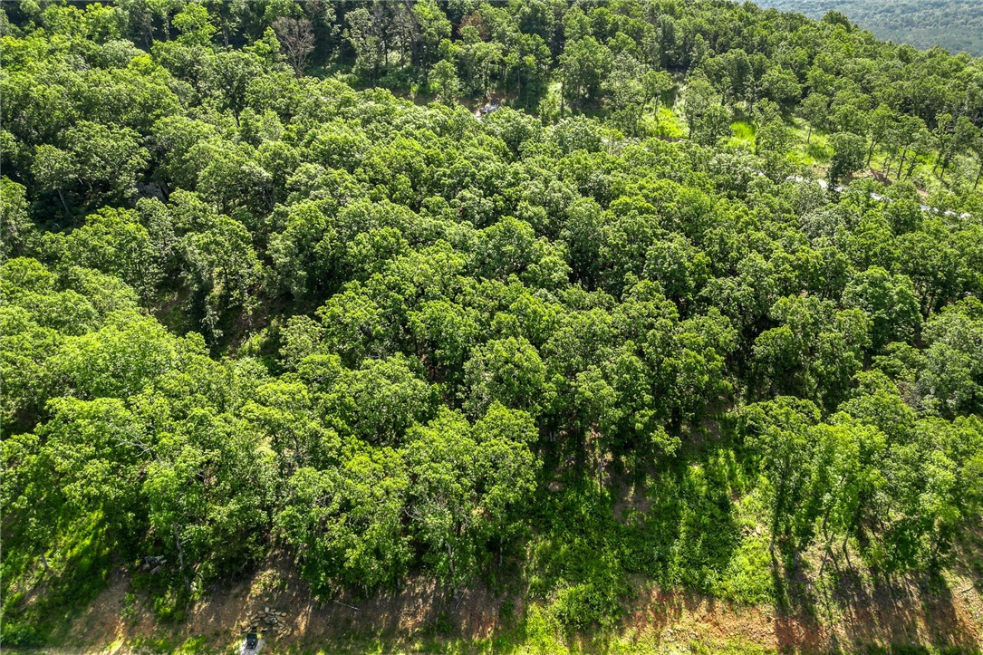 Round Mountain Estates - Land