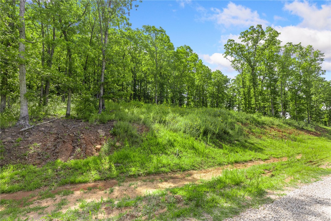 Round Mountain Estates - Land