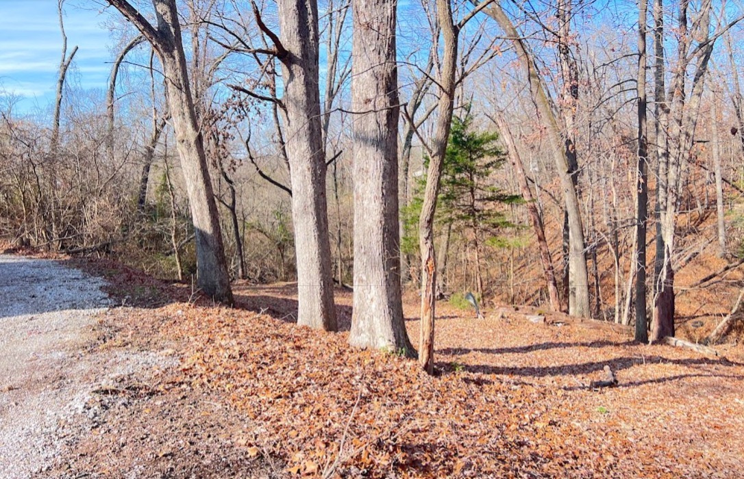 Chambers Add Rogers - Residential