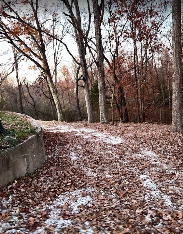 Chambers Add Rogers - Residential