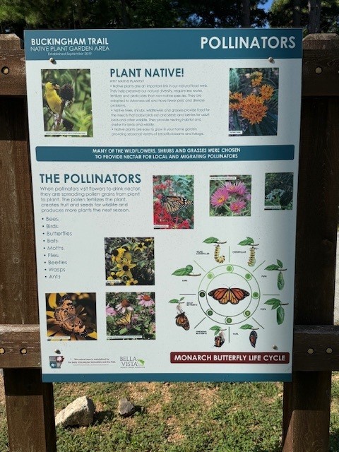 Buckingham Sub Bvv - Residential Lease