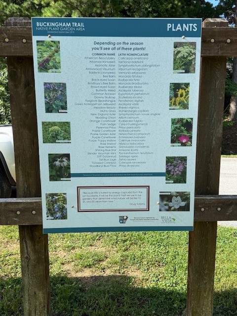 Buckingham Sub Bvv - Residential Lease