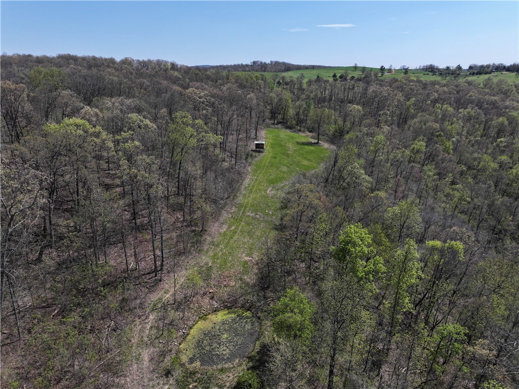 Escape to your own 40-acre haven in Madison County! Navigate the land with ease thanks to an established trail system. This is truly an outdoorsman's dream, with abundant bear, deer, and turkey. Discover the deep ravine that bisects the property, showcasing awesome rock outcroppings and a picturesque wet weather waterfall. On the east side, find a large food plot perfectly positioned near a pond. The west side features an established bait station for black bear. Box blinds are already strategically placed. You will access your private retreat via a gated, deeded easement road that is fenced on both sides all the way to the property line, ensuring privacy and security. Upon entering, you'll find the "campsite," offering an ideal spot for a cabin or recreational basecamp with a utility easement already in place. If you've been searching for a premier recreational tract with incredible wildlife, stunning natural features, and thoughtful improvements, look no further. Don't miss this exceptional opportunity!