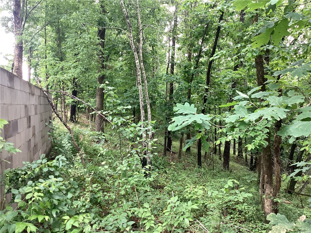 Here's a nice lot in Beaver Shores Unit 5 to add to your investment portfolio or build a house upon. Very close to the 12 boat ramp, Beaver Lake and all the fun and action that Rogers Arkansas has to offer!
