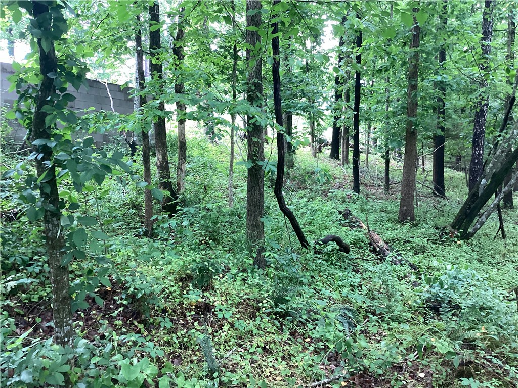 Beaver Shores Unit 5 Rurban - Land