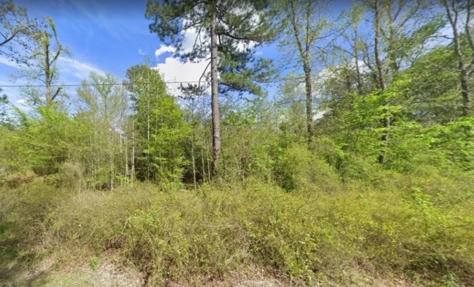 Barton Survey To Woodson - Land