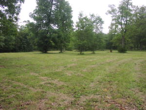Very remote feel to this property but just off of the pavement for very easy access. Old home place on property. Old well on this property. Old roads run thru this property. Lots of wildlife. Mostly wooded with large trees but has some flat cleared area for building if desired. Utilities are available.