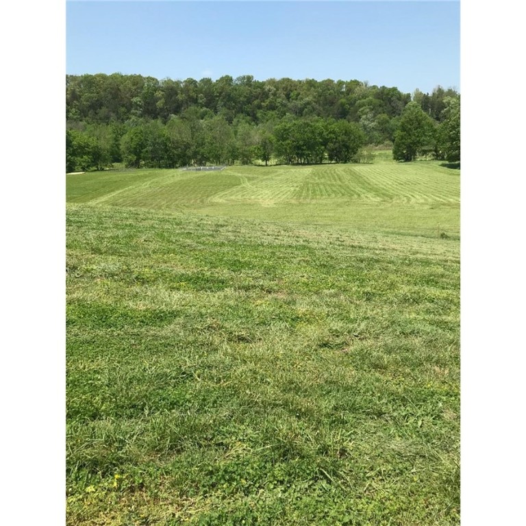 Rare opportunity to own over 7.5 acres with 319 feet of river frontage on War Eagle Creek. Great place to camp, fish, kayak, ride horses, garden, or just relax by the river. Beautiful lush pastures with home site and fenced fruit orchard.
Already connected to Madison County Water with service hydrant at the orchard.
Power and high speed internet available at property edge.
On private road off of Hwy 23 and only 5 minutes to Huntsville, 30 minutes to Fayetteville or Eureka Springs.