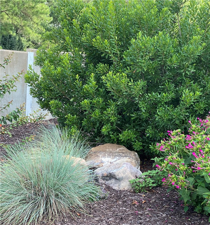 Timber Ridge - Residential