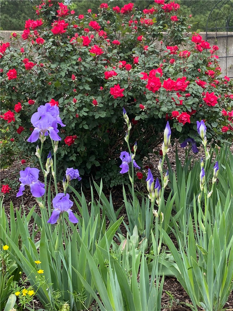 Timber Ridge - Residential