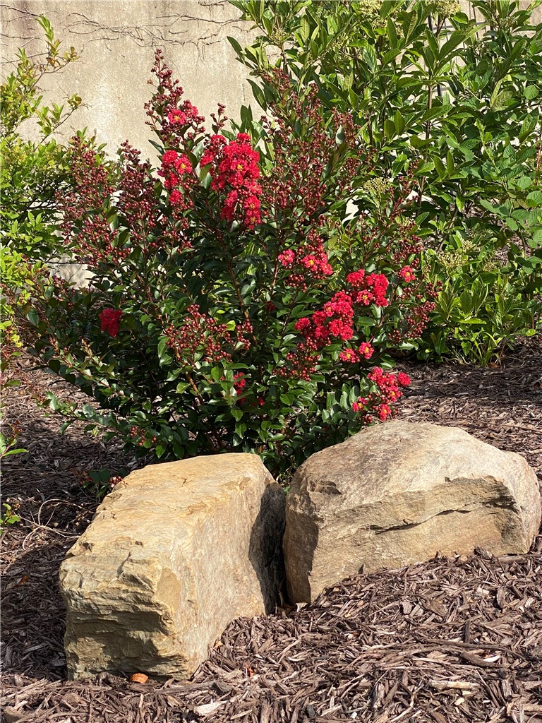 Timber Ridge - Residential