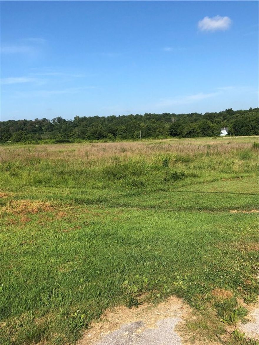 Great development property! Do not miss out on this great opportunity here!! This property sets right be fore Cave Springs City Limits.Call listing agent for more details.