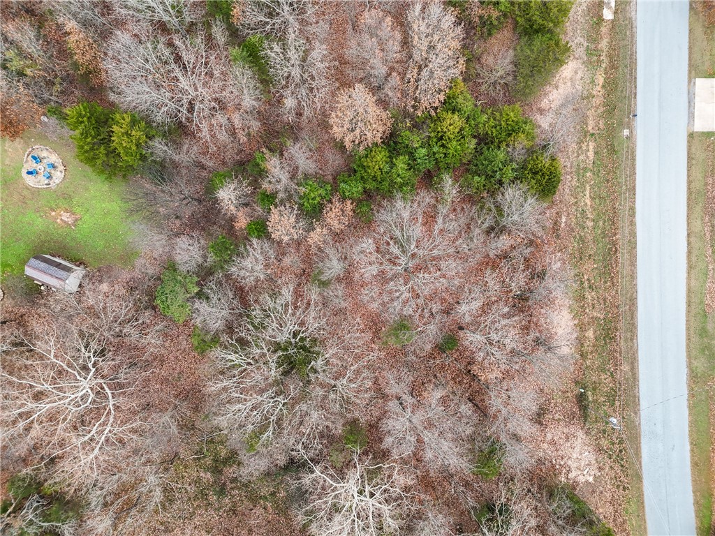 Watson Sub Bvv - Land