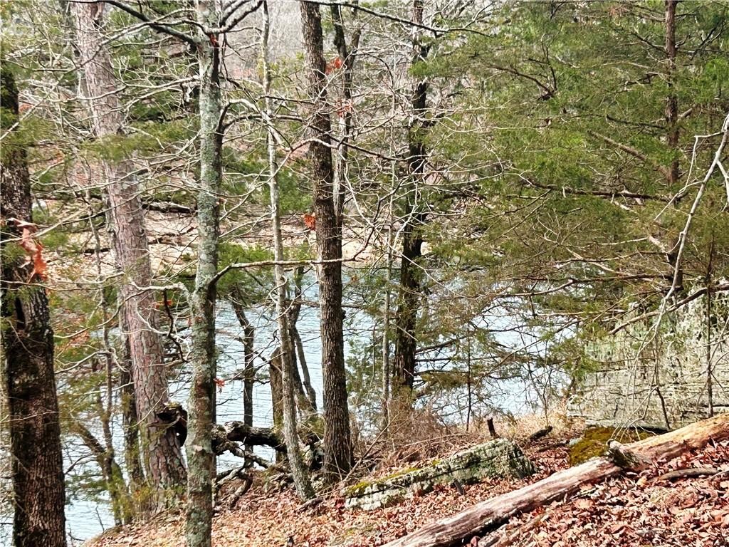 Neadum Ridge Estates - Land