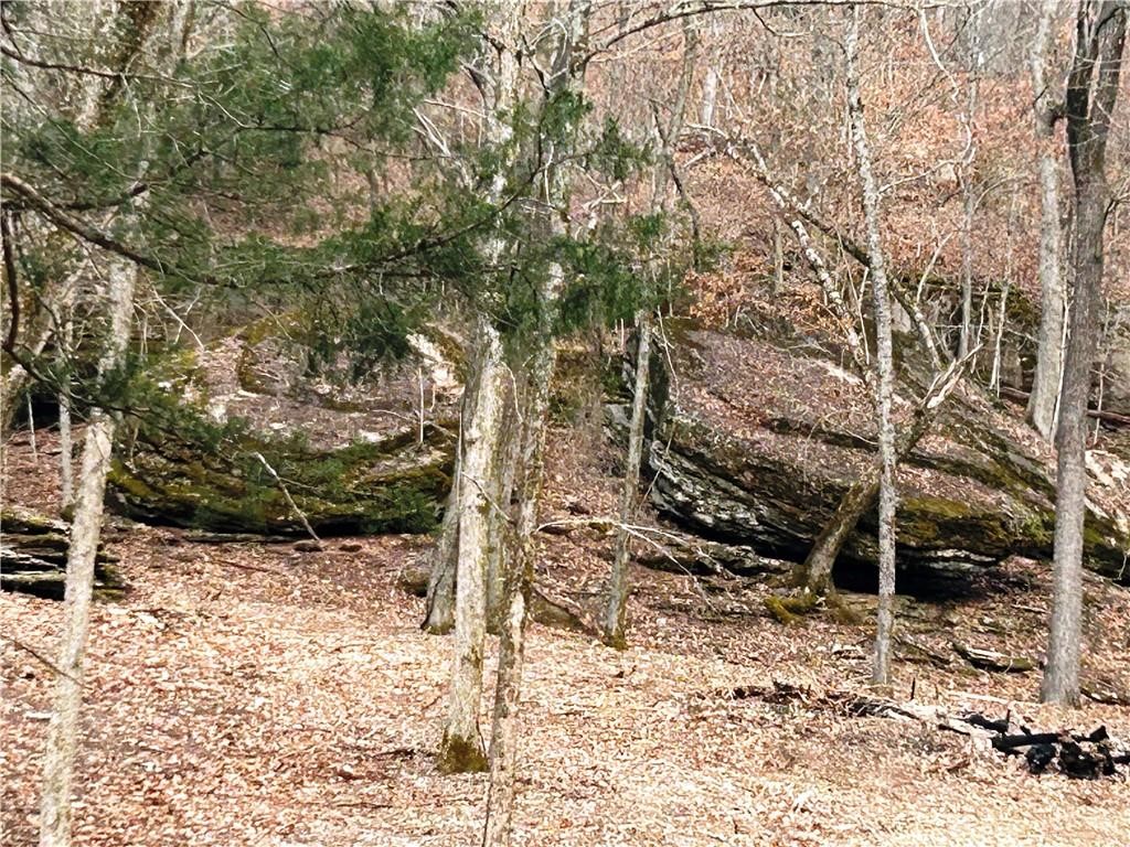 Neadum Ridge Estates - Land