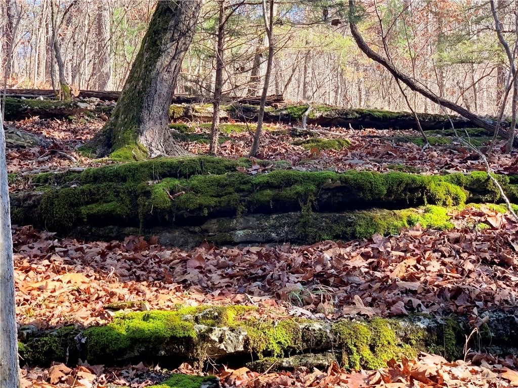 Neadum Ridge Estates - Land