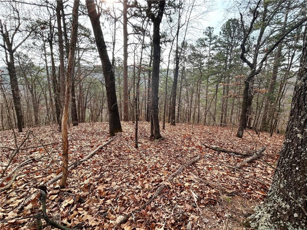 Neadum Ridge Estates - Land