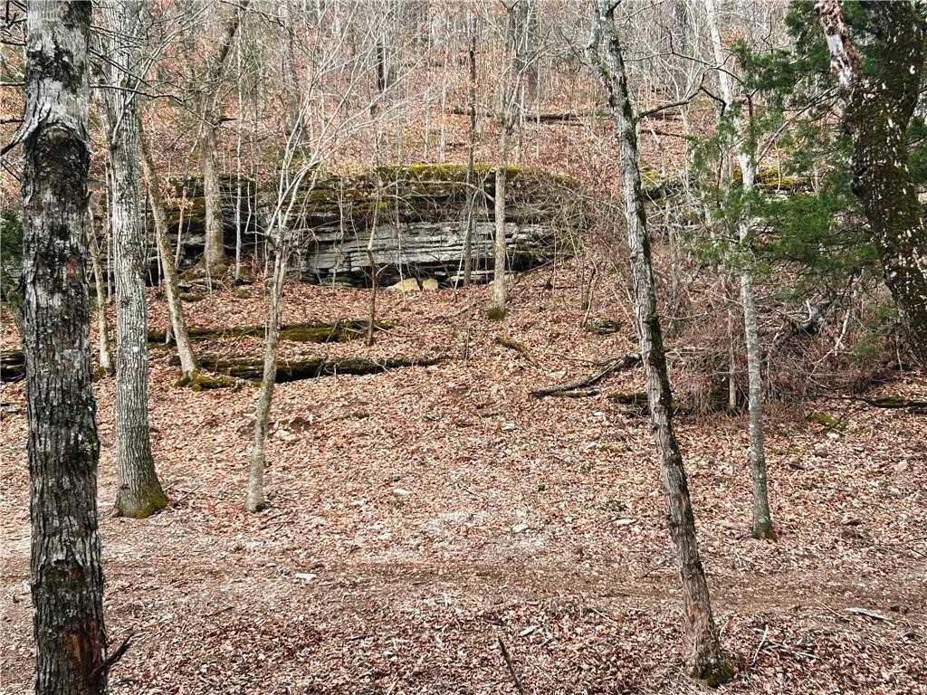 Neadum Ridge Estates - Land