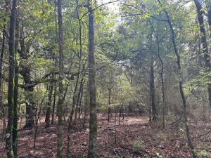3.17 acre conveniently located close to town. Beautiful building spots and wooded.