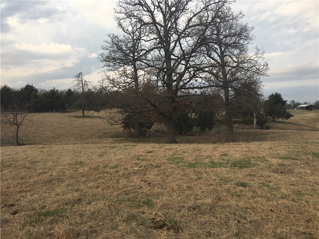 Broilerville - Farm